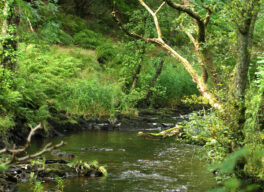 Standing water and watercourses